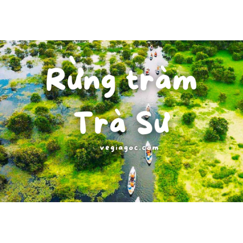 Công Ty Du Lịch Rừng Tràm Trà Sư